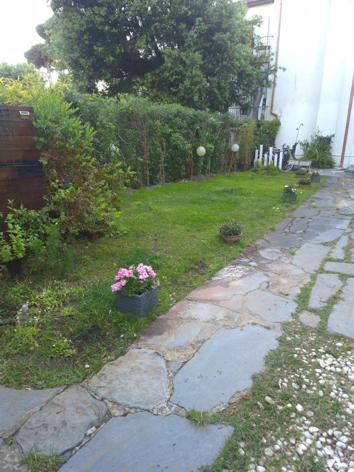 Domusauroom, Relax Nel Cuore Della Versilia - Pet Friendly Viareggio Zewnętrze zdjęcie